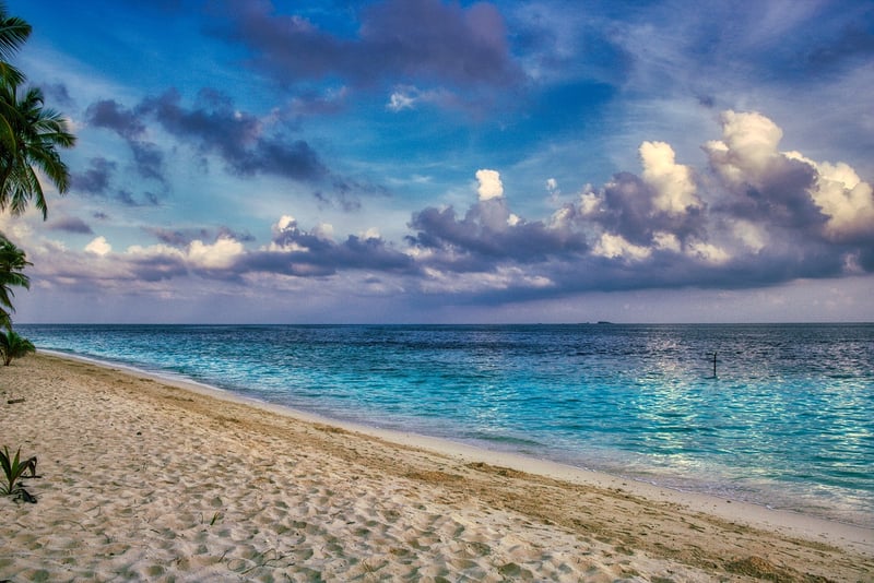 Beach Escape